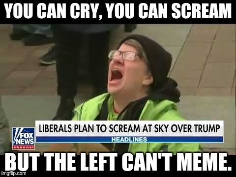 LilOrwell1984's tweet photo. @PatrioticPizzas These #leftoids and their attempt at #Memes 🤣 https://t.co/trkeyCu5CT