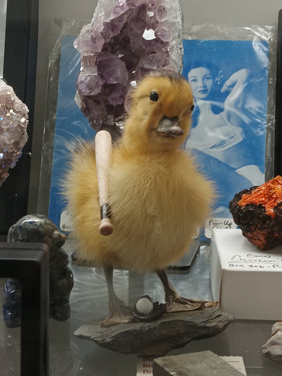 Tweet a random pic on your phone with no explanation.