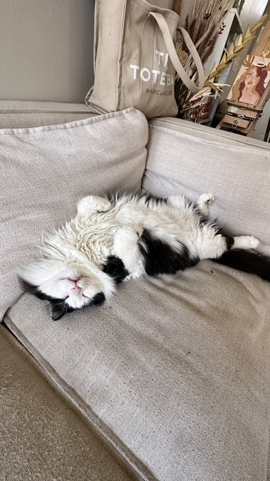 TW Pornstars - Bambi Sage. Pictures and videos from Twitter. Page 2