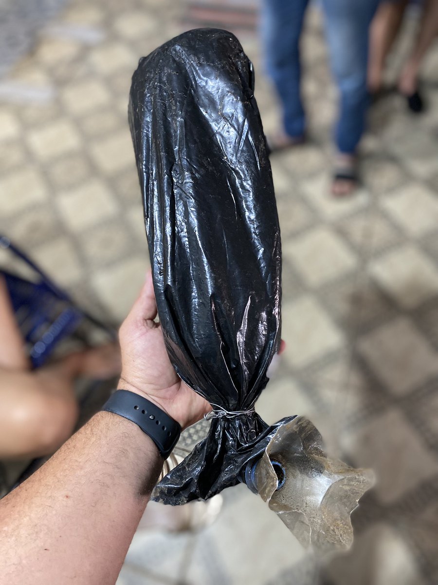 sankel_lima's tweet photo. Aprendendo a fazer isca-pet pra pegar abelhas Jataí (com feromônio) 

Antibiótico natural, super caro esse mel ( R$ 500 a R$ 700 o kg). 

Eu lá não tem ferrão. https://t.co/UMyGouSORl