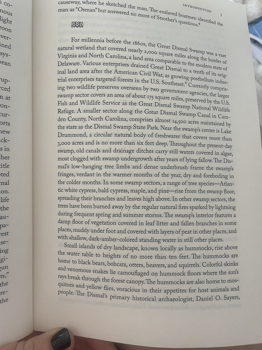 Samantha Futrell tweet media