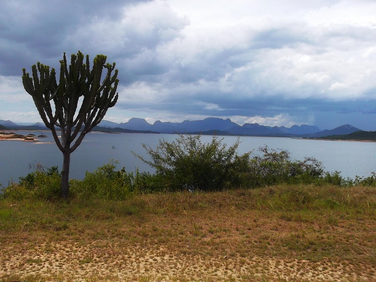 umzamocapital's tweet photo. Osborne Dam on the Odzi river in Mutare, Zimbabwe
📷@kpczim
#VisitMutare #VisitZimbabwe #TravelZimbabwe #TouriZim #VisitManicaland #EasternHighlands #Manicaland #Zimbabwe
🟠For more info on Zimbabwe's top tourist attractions visit https://t.co/L3BzA650Eo https://t.co/vl3s5sYSBB