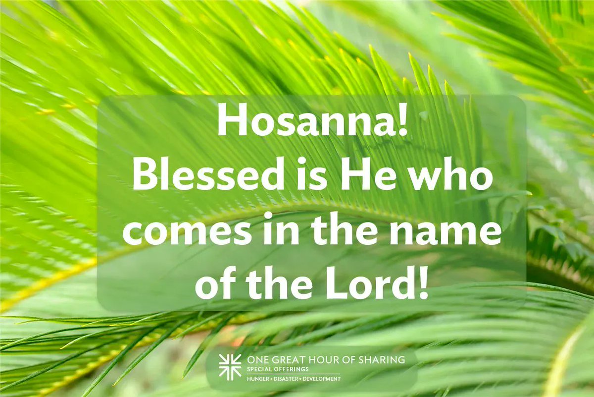 Special Offerings tweet media