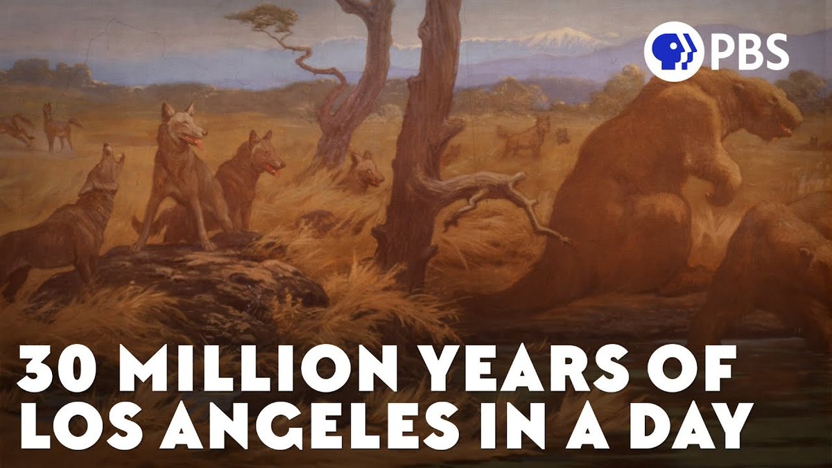 EonsShow's tweet photo. Let's celebrate Geologist Day by learning about the geology of Los Angeles with Eons' very own geologist Michelle Barboza-Ramirez and our episode "How Plate Tectonics Transformed Los Angeles." https://t.co/hGKWrzdKAP https://t.co/NFa3f4aDwZ
