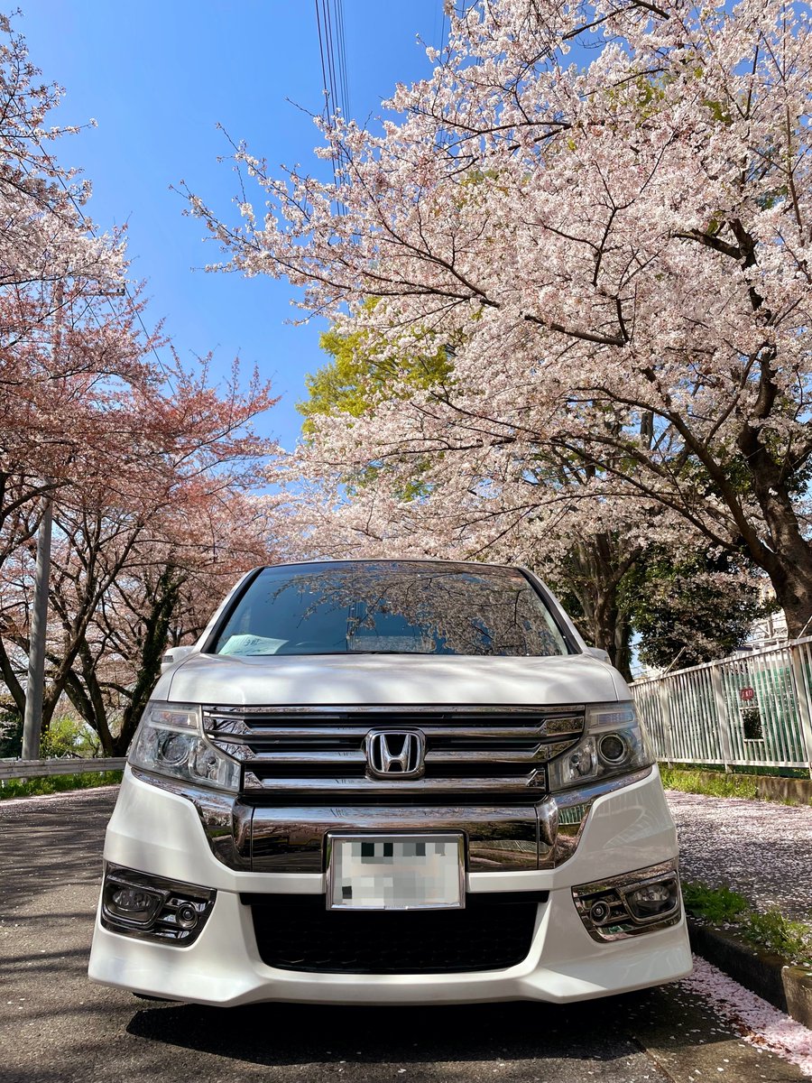 #愛車と桜フォトコン 

今年は休日に晴天☀️の日が
少なく桜🌸ギリ間に合いました👍

#桜
#桜2023 
#愛車と桜 
#HONDAと桜 
#桜フォトコンテスト2023

#Hondaハート
#ThePowerofDreams
#powerdbyHONDA
#ホンダ乗りと繋がろう2023春 

#ステップワゴン 
#ステップワゴンスパーダ
#RK5 

#写真
#カメラ