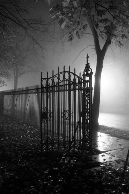 Where the night secrets hide
streets cling to echoes
of footsteps passed by
Time seems to linger
Listening
Fog sieving whispers
of town half awaken
City full of love
and greed and anger
Never quite asleep
Sussuration of words
night air sighs and murmurs

#bravewrite #atreyasverse