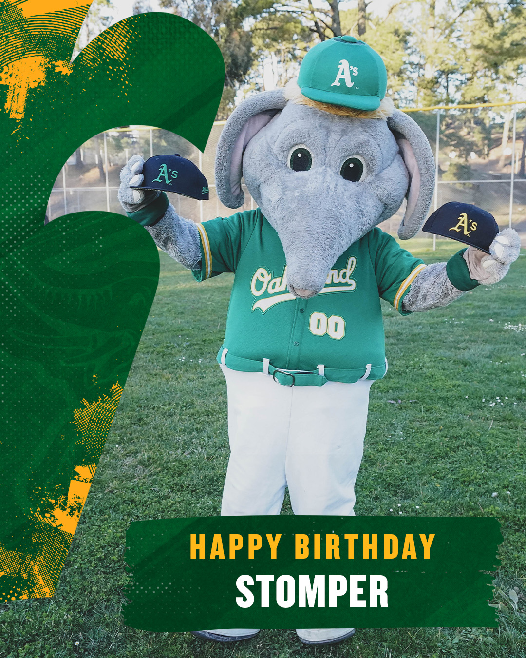 oakland a's elephant