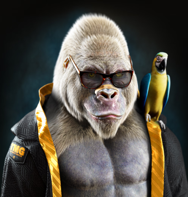 Narrrf π¦πΉ (@narrrf12345) on Twitter photo REVEAL day - Thanks <a href="/TheRoyalCubs/">The Royal Cubs</a> for holding your promises! - "Mighty Gorilla" - Awesome art Team, awesome art! - REVEAL day - Thanks <a href="/TheRoyalCubs/">The Royal Cubs</a> for holding your promises! - "Mighty Gorilla" - Awesome art Team, awesome art! -