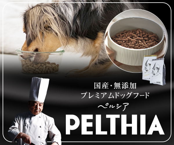 melon8361011's tweet photo. MADE IN JAPAN🌺The number of followers has increased by 5,500 in six months and is still growing at a tremendous rate. PELTHIA], a premium dog food brand that takes the health of dogs seriously.https://t.co/o4ZuDdtbT5
#dog #dogfood #MADEINJAPAN #organic #medical #PELTHIA #health https://t.co/ENWsOMErCB