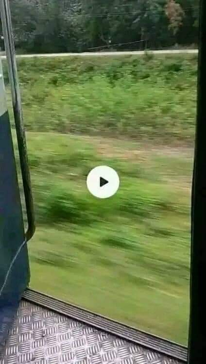 कृपया अप्रैल फूल दिवस पर ऐसा कभी ना करें ये बहुत खतरनाक है 😀😀