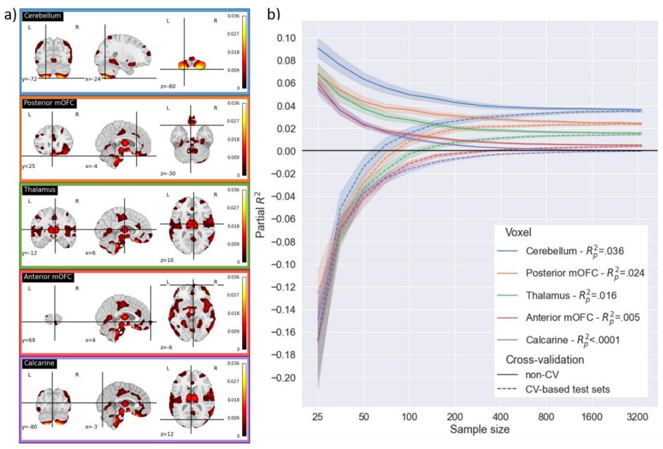 JanikGoltermann's tweet photo. Preprint alert! 📢 How to apply cross-validation to mass-univariate brain analysis and how this protects against effect size overestimation in small samples. A demonstration in N=3401 brain scans https://t.co/4DqFDMR2mZ

#TraPLab https://t.co/todtV7OK7A