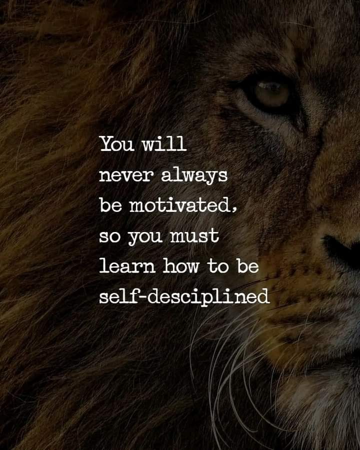 mitchHandley's tweet photo. https://t.co/6pHGimnrLP