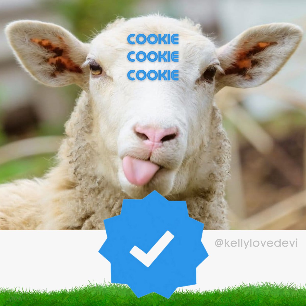 misskellove's tweet photo. I made my first meme 

#bluecheck #bluecheckmark #instagram #verification #igotverified https://t.co/K5Vbc0LPDH