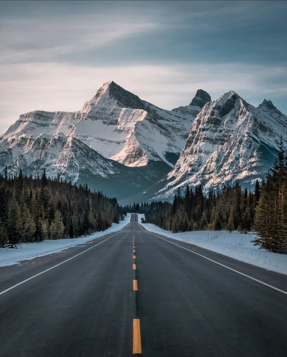 danschyk's tweet image. Icefields Parkway, Jasper AB