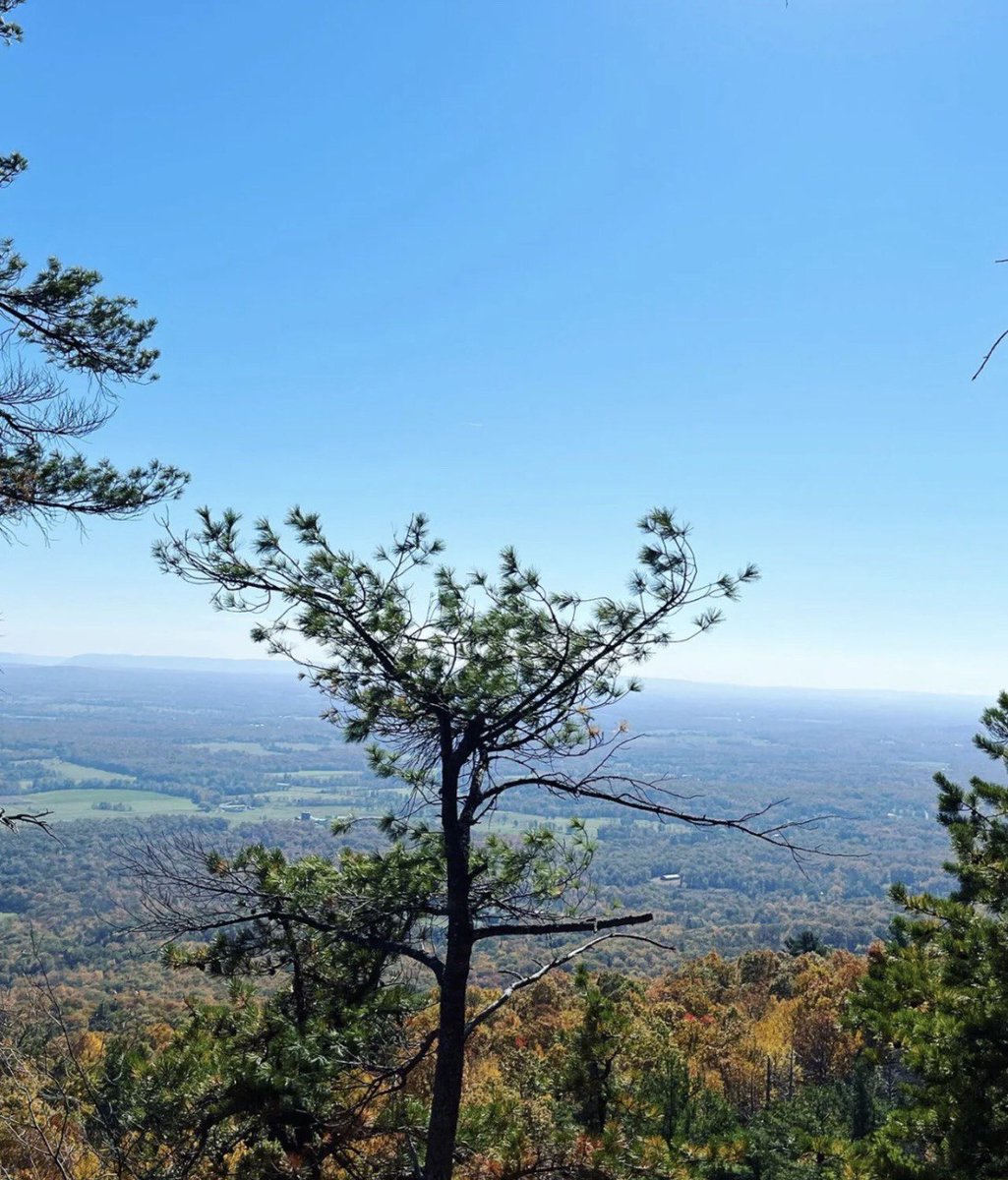 #blue sky, wow, all blue grass flat, trees blue is too beautiful 📸📸