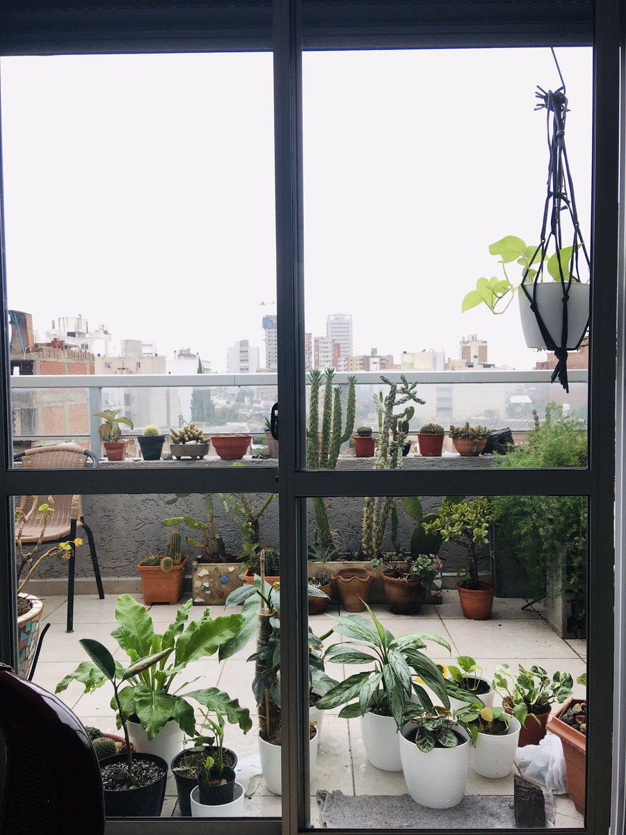 Para los vecinos, literalmente soy la vieja de las plantas del sexto.