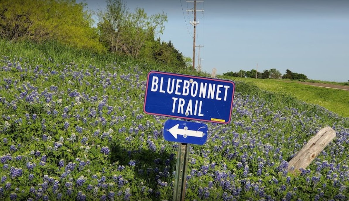 It's a sign of the times! Time to visit the Ennis Bluebonnet Trails 📷 The Welcome Center is open today to provide you with trail maps.  (Photo by Eduard Hanganu)