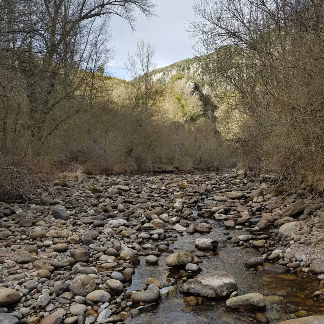 FRiojanadePesca's tweet photo. Hoy 2 de Abril comienza la temporada de pesca salmónidos en La Rioja con un caudal bajísimo en el río Iregua con  zonas prácticamente secas. 
Embalses por debajo de lo habitual para estas fechas con un 37% Pajares y un 59% Ortigosa.
@lariojaorg @MAmbienteRioja @riojadeporte https://t.co/t7geZRzLQc