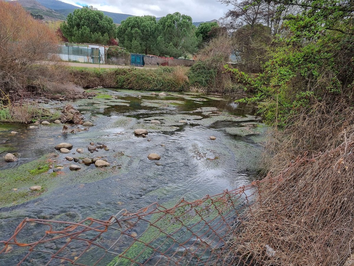 FRiojanadePesca's tweet photo. Hoy 2 de Abril comienza la temporada de pesca salmónidos en La Rioja con un caudal bajísimo en el río Iregua con  zonas prácticamente secas. 
Embalses por debajo de lo habitual para estas fechas con un 37% Pajares y un 59% Ortigosa.
@lariojaorg @MAmbienteRioja @riojadeporte https://t.co/t7geZRzLQc