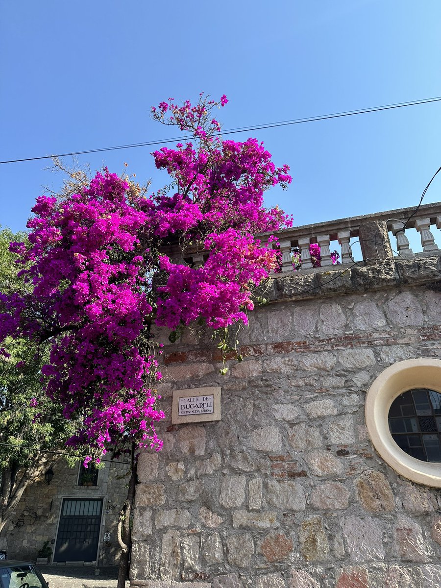 #Michoacán 🏀 gotta find that women’s #NCAAFinalFour final today