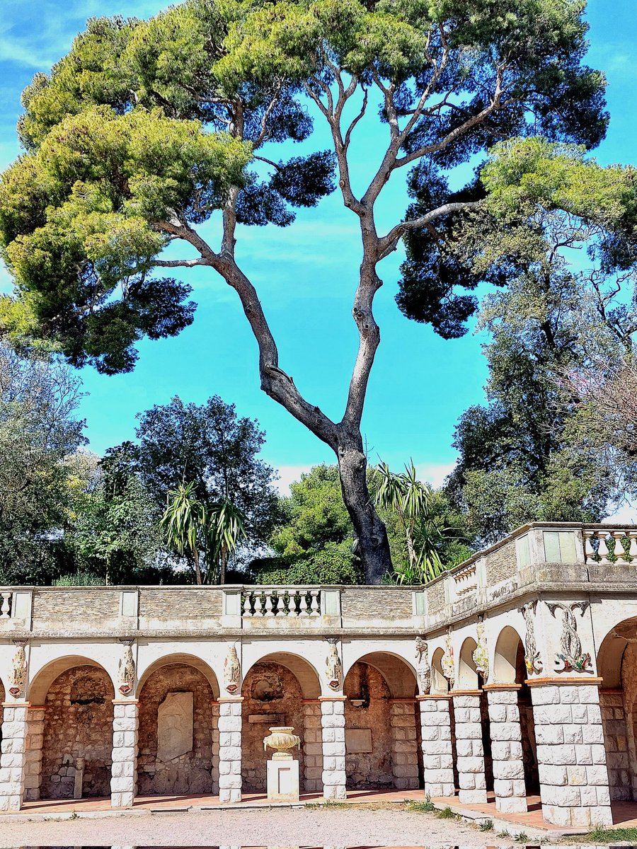 Lucile Qnrt tweet media