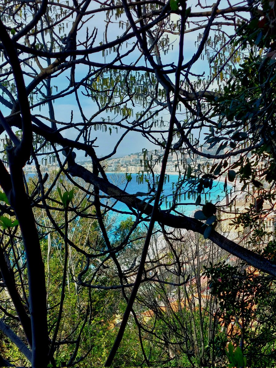 Lucile Qnrt tweet media