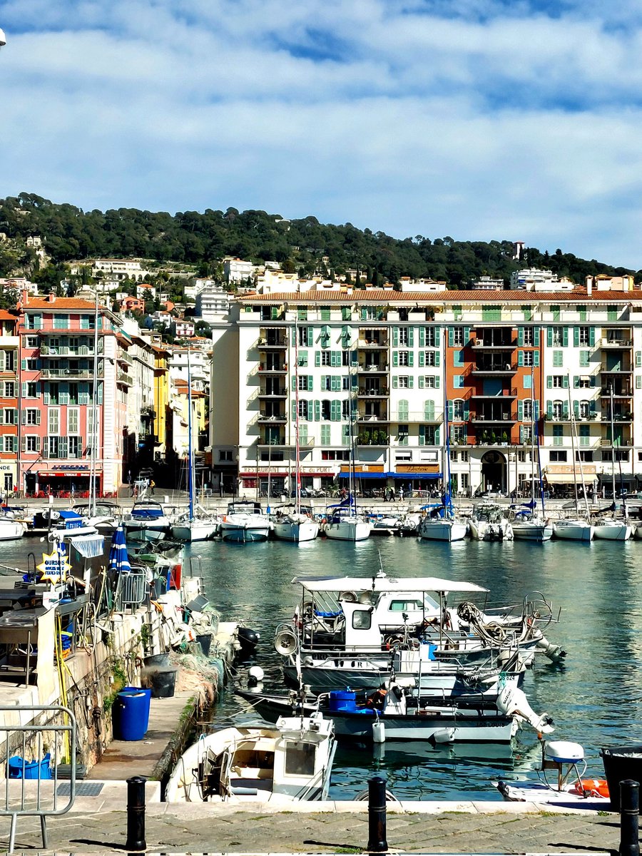 Lucile Qnrt tweet media