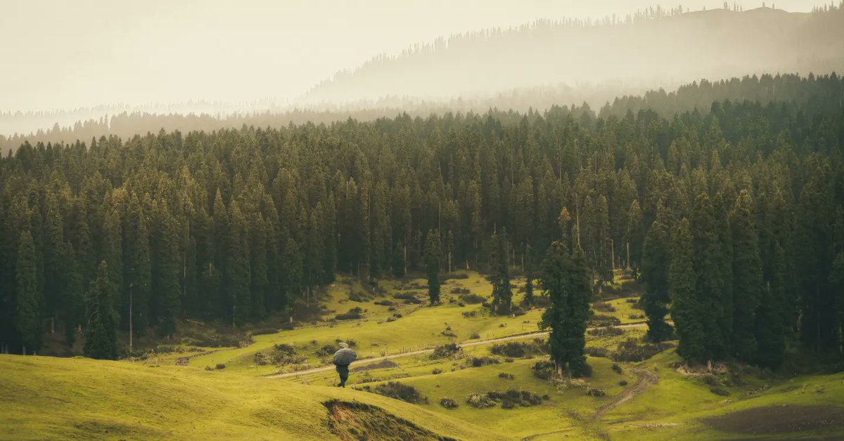 omarbazaz's tweet photo. The four seasons of my heart. 

#kashmir #photography #love https://t.co/9AZrpaJAax