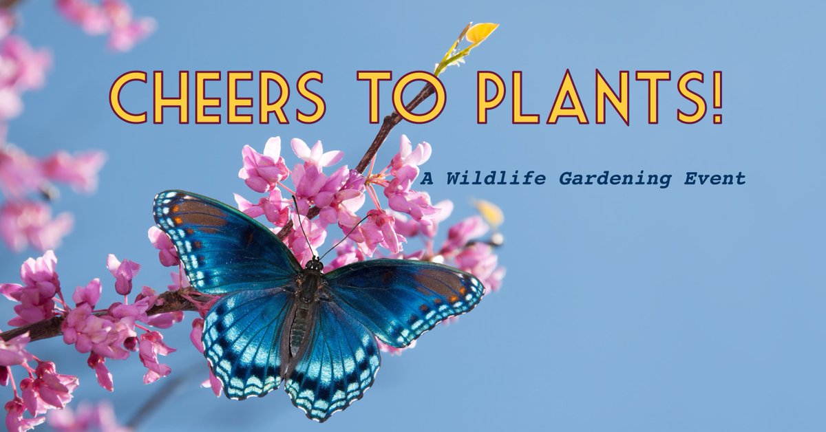 MSHeritageArea's tweet photo. Learn about native plants &amp; how they support wildlife at Esther's Eatery &amp; wine shop, 6 p.m., April 6, with wildlife gardening enthusiast Abbie Hyche. $40 includes info-session, a plant, printed materials &amp; light snack. Wine available for purchase. (205) 541-7484 for more info. https://t.co/JKvS1aFVot
