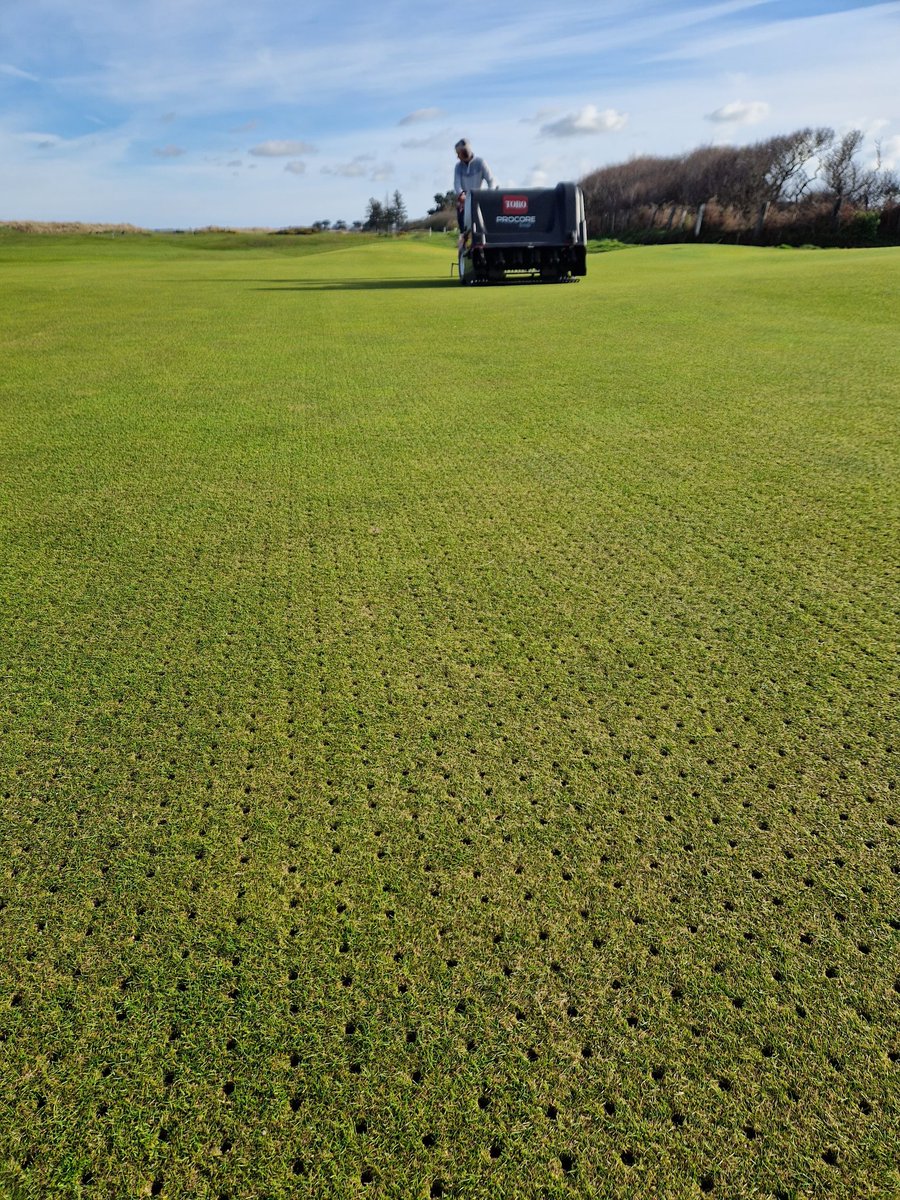 Taking advantage of a beautiful Sunday evening here <a href="/Rosslaregolf/">Rosslare Golf Links</a>.
Punching some pots in greens and aprons before overseeding tomorrow. #fescue #potseeding #greenkeeping #linksgolf