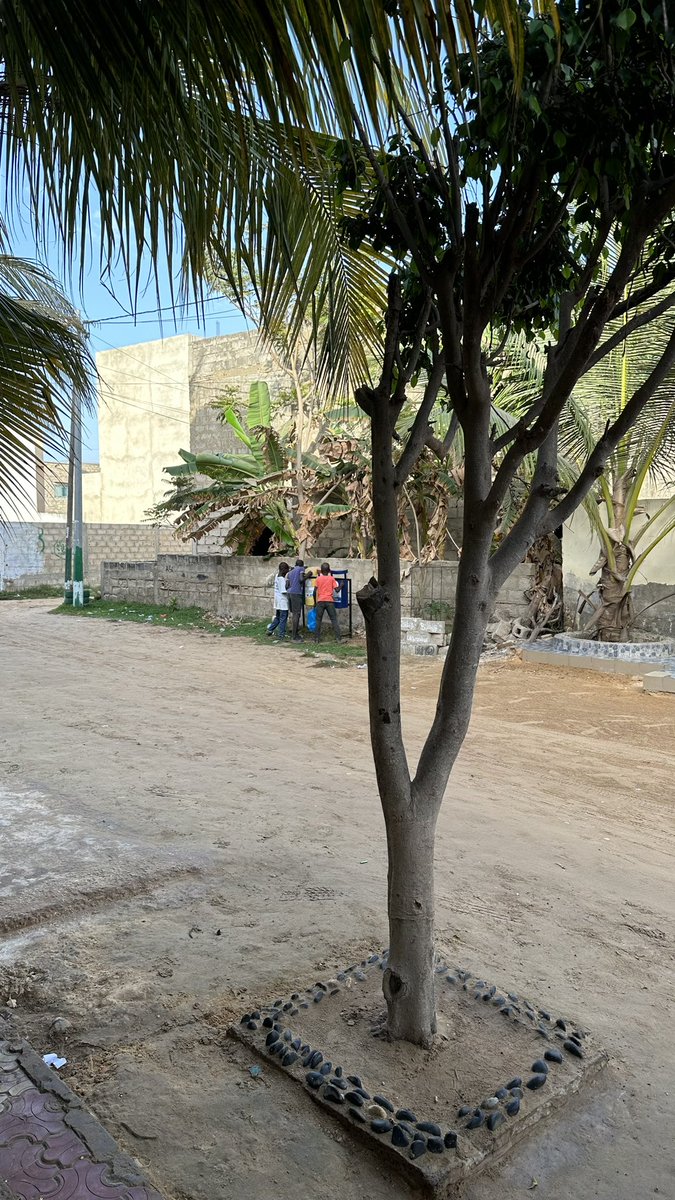 TontonVert's tweet photo. Des enfants talibés ont compris l’utilisation des bacs de tri .
Je les vois souvent jouer à ramasser des déchets et chercher à les placer dans le bon bac .
@PromogedSenegal @PropreUcg  proposez nous des bacs de recyclage.
#QuartierVertChallenge https://t.co/pfn81lRwYe
