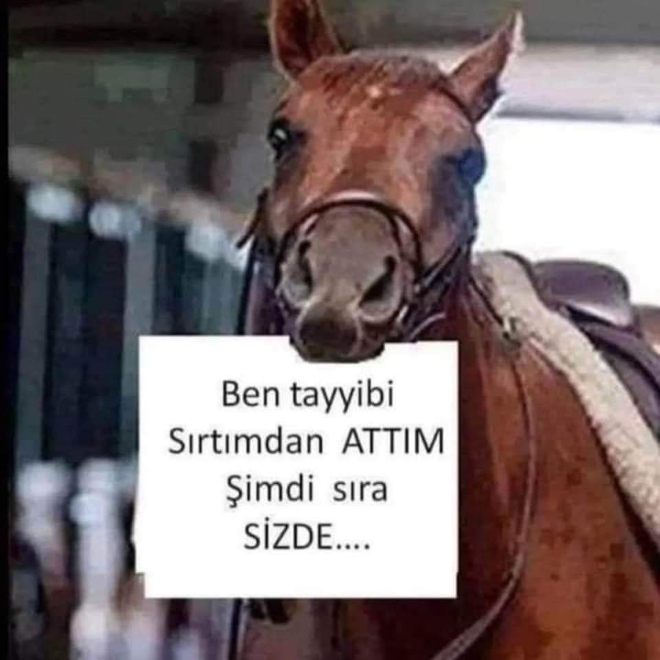 Burak (@burakyamur20) on Twitter photo 