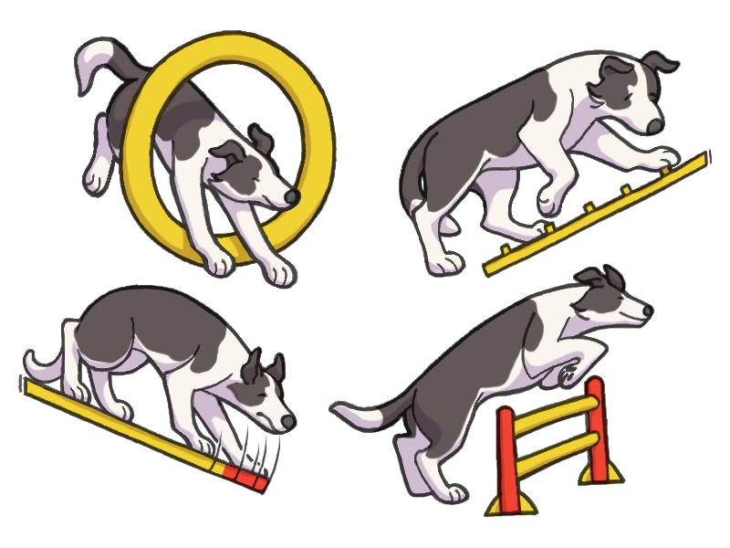 craeveyard's tweet photo. Lately I've been drawing some normal dogs for once, doing normal dog things. Here's Molly in Agility and Conformation. https://t.co/JEgxudJ5cv