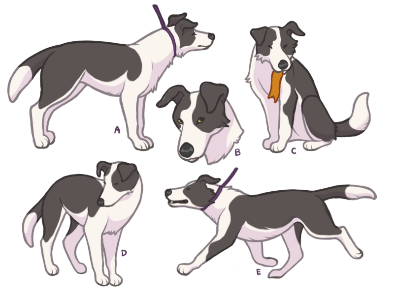 craeveyard's tweet photo. Lately I've been drawing some normal dogs for once, doing normal dog things. Here's Molly in Agility and Conformation. https://t.co/JEgxudJ5cv