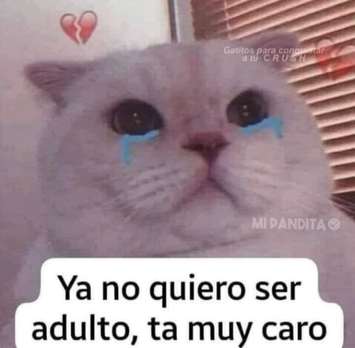 Guarromantico_'s tweet photo. Cuando por fin eres adulto, y no todo es como lo esperabas. https://t.co/hk1ww3aJne