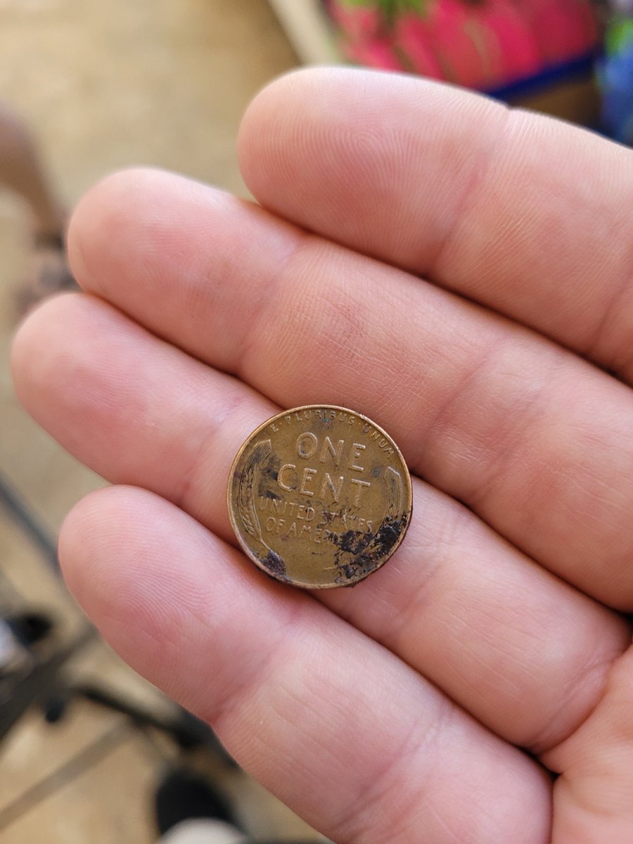 Found a 1944 wheat in the Dollar Tree parking lot 👍 it looks worn out, lets give it a place to rest.