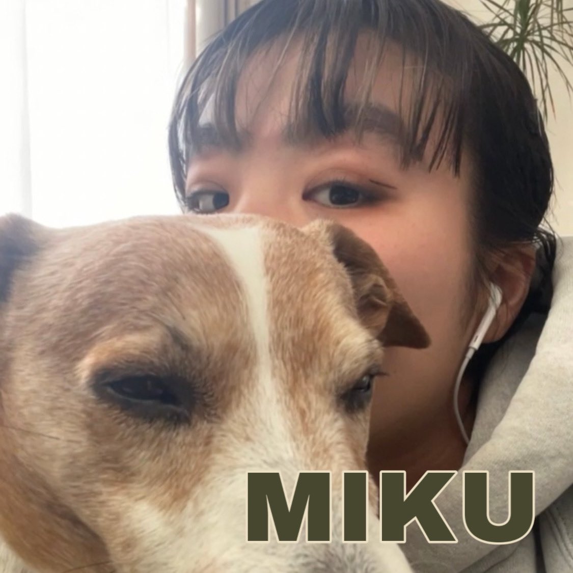 irislaos's tweet photo. 【 部署長紹介🍒】

まずは営業部長いとみ🦔🍂

彼女はI-RISを初期から支え、誰からも頼られるI-RISに必要不可欠な存在❕
彼女の個性的なファッションとセンスは誰にも真似できません🤎

Instagram : https://t.co/q8fXbHpp60
Twitter : @yitengmeihong1 

#春から立命 https://t.co/CNaRGqFZFI