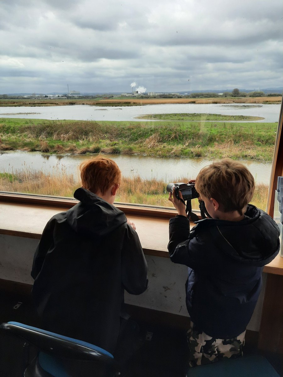 Visited <a href="/RSPB_BurtonMere/">RSPB Burton Mere Wetlands</a> today for the first time and had an amazing time. Thanks to volunteers for taking the time to explain the site to us. #youngbirdwatcher #excitingday #youngphotographer