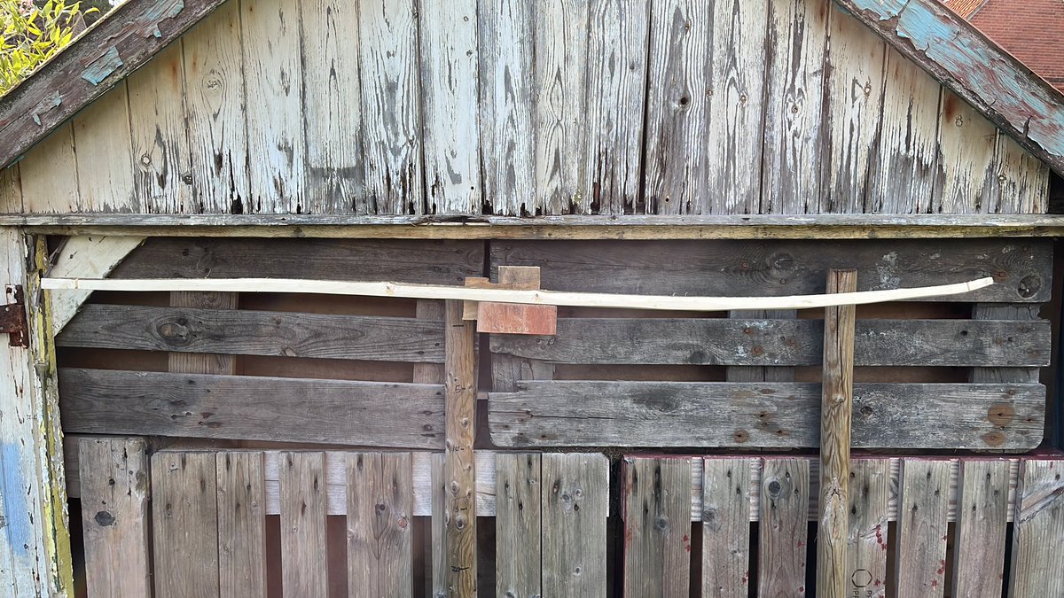 kirisute's tweet image. Broke the greenwood ash self bow I was learning to make! So spent the afternoon making a hazel one Instead and so far it’s 32lb at the tiller!! #bowmaking