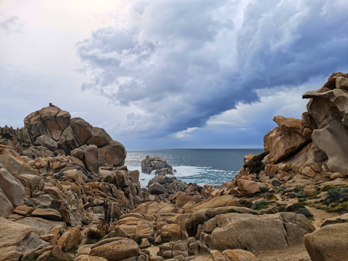 Michael Svendsen 🇺🇦 tweet media