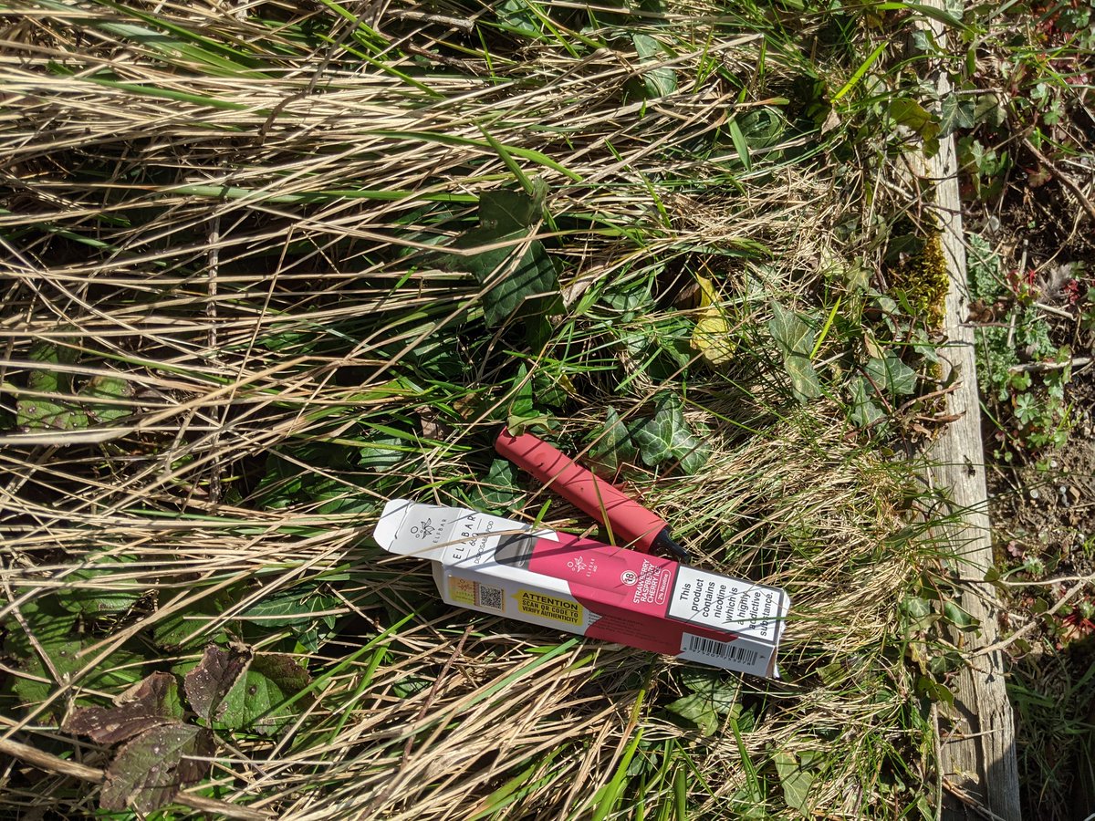 EricTorrington's tweet photo. Half a bag of #litter and a well earned hedge thrown #vape from #Coaley Peak viewing point car park. Supporting @Litter_stroud @nationaltrust @TruckersUp @LessWasteLaura https://t.co/smBqj67W10