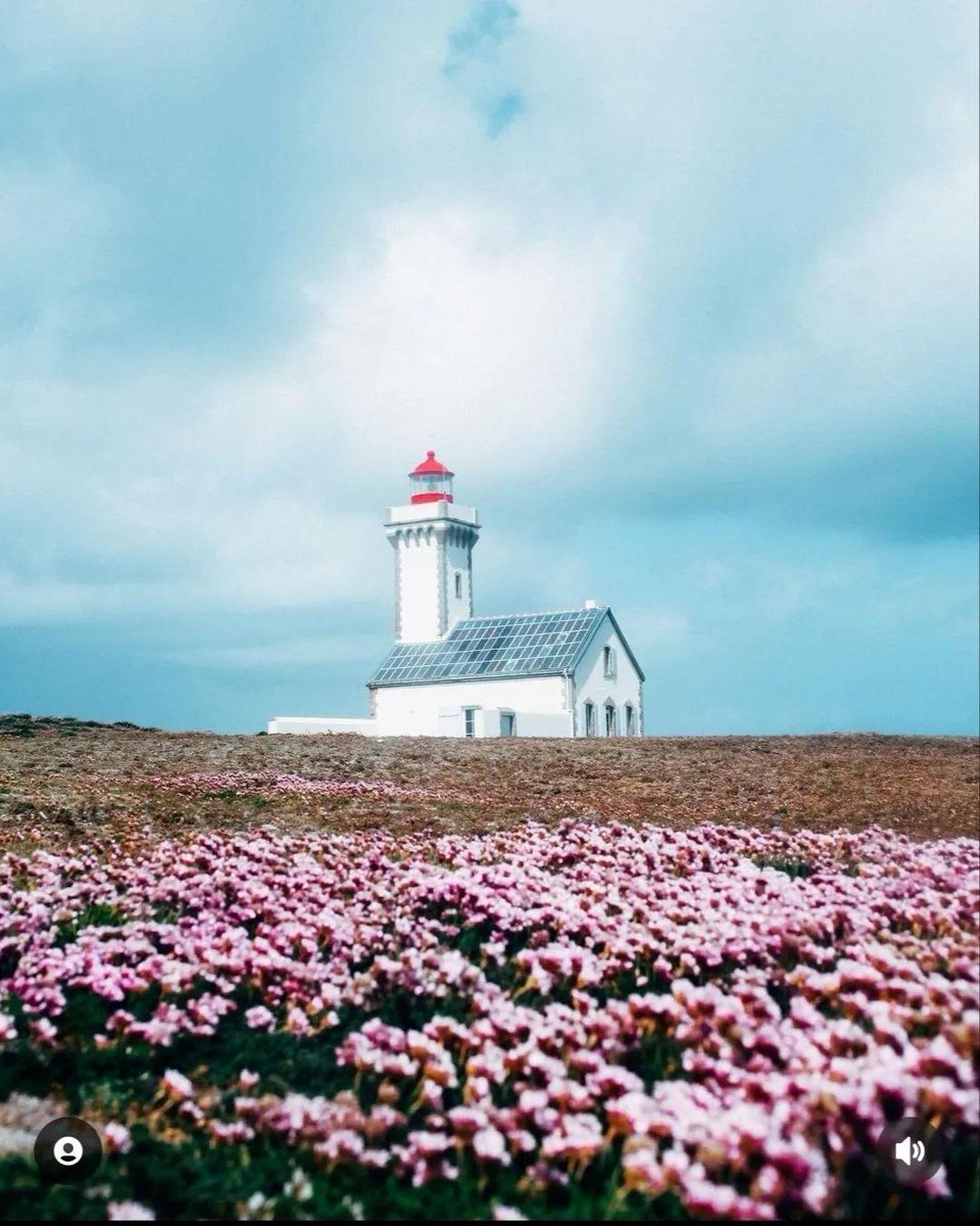 '📍 Belle-Ile-en-Mer, Morbihan.

📷 Crédits : @elsamargueritat (IG)

__

Les trésors cachés de Bretagne postés chaque jour ici 👀

#morbihan #BelleIleenMer #bzh #madeinbzh #brittany #igersbreizh #breizh #bretagne360 #france #bretagne'