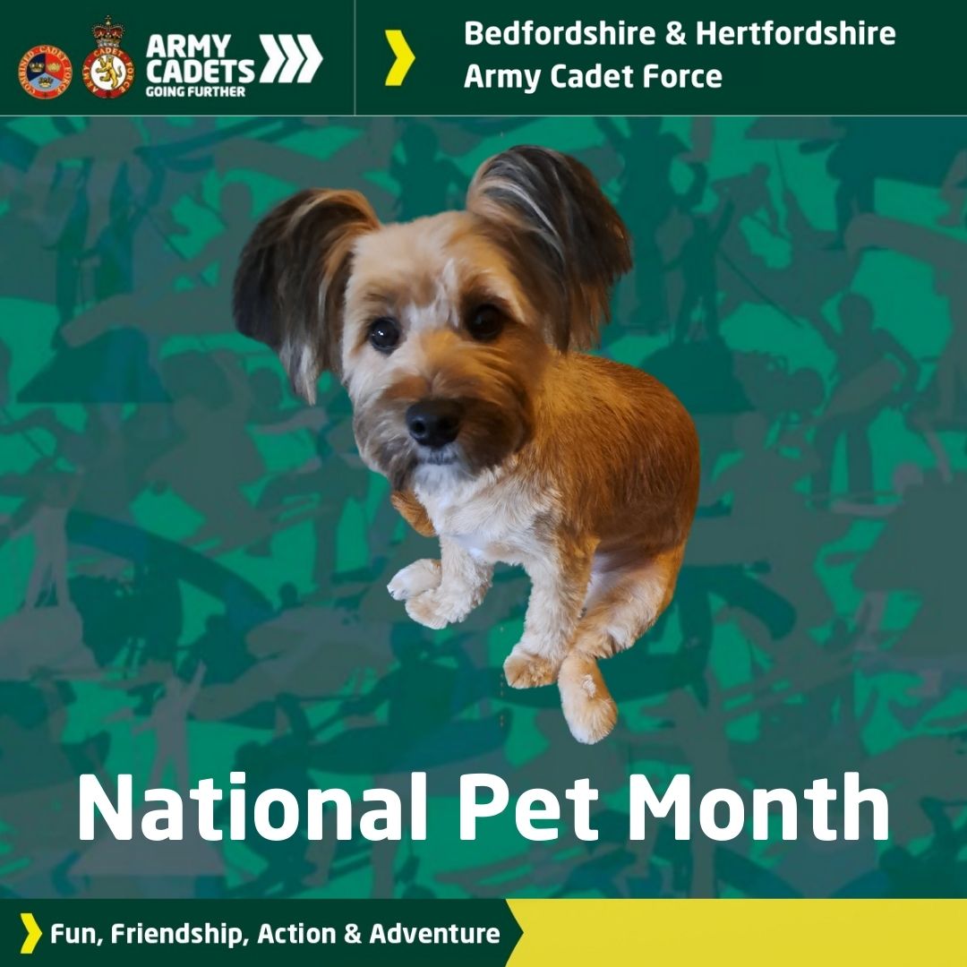 It's National Pet Month across April. Share your pets with us pet lovers here at Bedfordshire & Hertfordshire Army Cadet Force. Here's our County Media Officers pet, Ronnie.#bhacf #armycadetsuk #nationalpetmonth