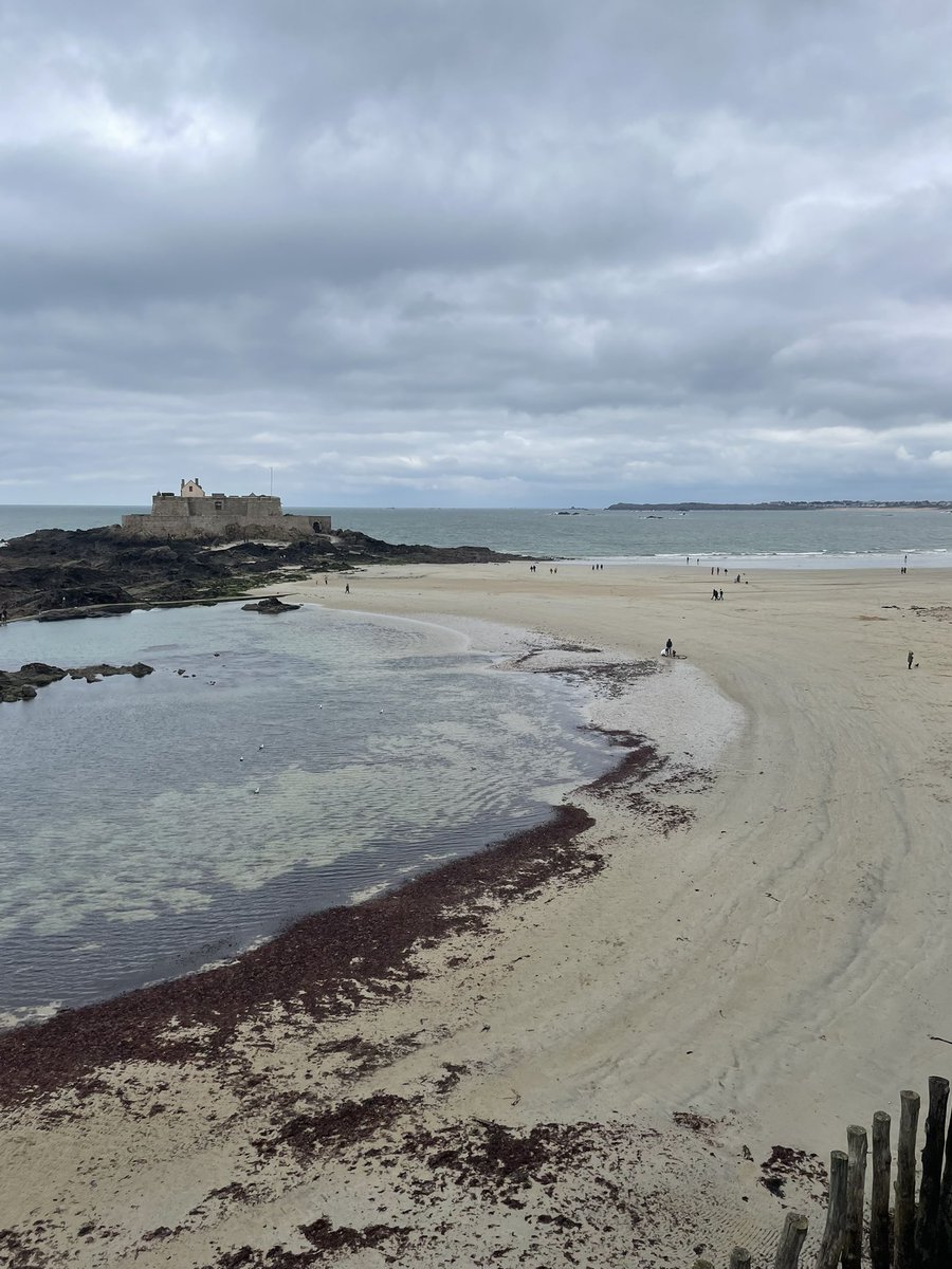 Simon Wareham tweet media