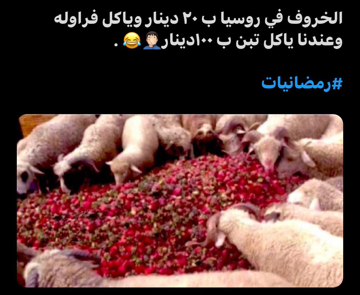 falehalkhudair1's tweet photo. هههههه وين 100دينار
كان زمان
حالياً سعر الحيوان 170وصل
والخروف في استراليا
تشتريه شركة المواشي الحكومية؟؟؟ من بلدهم
بقيمة 3دنانين او ب5درانير
اقول الله يعين الشعب الكويتي
لاهو راحمنا تاجر
ولا  الشركات الحكومة
تبي ترحمنا
اقسم بالله قسم
الشعب الكويتي
عنده قوة صبر
ماشاء الله عليهم
. https://t.co/Ofutsz7y88