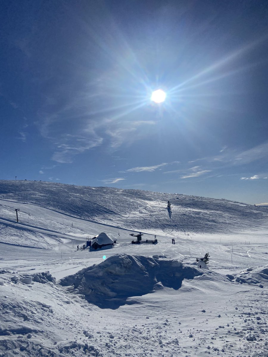 Levi 🤍 #visitlapland