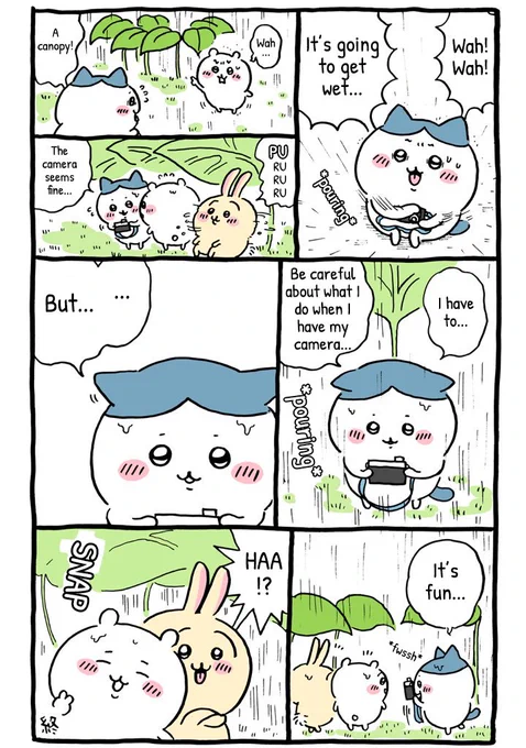 🌱
#Chiikawa 