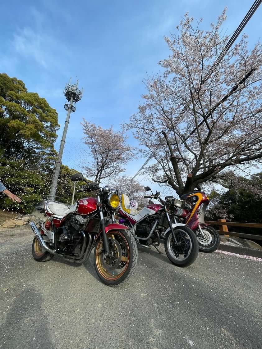 Shu_RZ4EU's tweet photo. 桜が似合うバイク🌸🌸
#VT250f #CBR400F 
#桜フォトコンテスト2023 https://t.co/4Fg8N67Xs6
