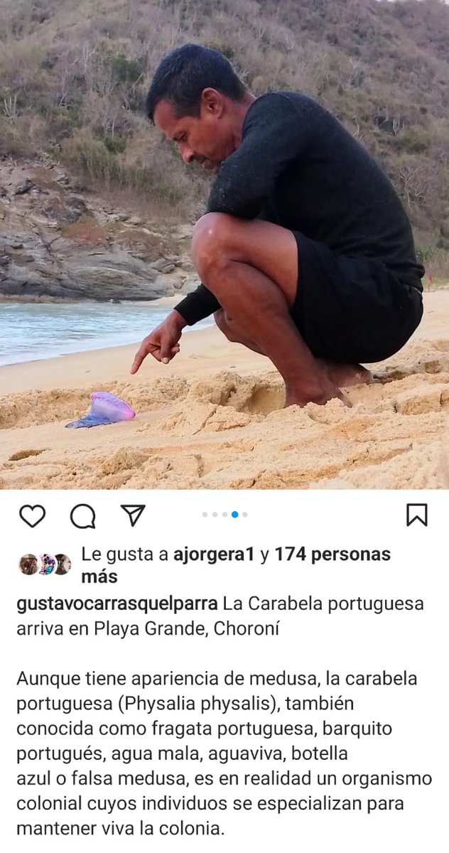 #2Abr #Aragua 
El periodista y activista ambiental Gustavo Carrasquel sufre campaña de descredito por parte de residentes de #Choroni, que lo declaran persona no grata luego de informar la presencia de una especie marina en Playa Grande  - <a href="/sntpvenezuela/">SNTP</a>