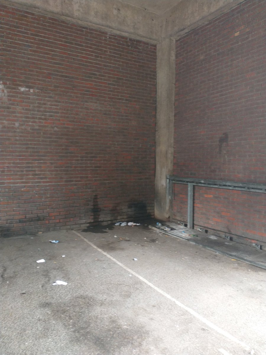 CurciEmanuela's tweet photo. @Hopkins_Alison @Brent_Council @BBCPanorama This is another example of incivility in @Brent_Council and the lack of action by #BrentCouncil. https://t.co/8edgy9SqAM